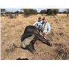 Image 4 : De Dune Safaris - 7 Day All Inclusive - 4 Trophy Animals