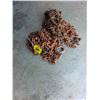 Image 2 : Logging Chain Pieces,  Unknown Lengths