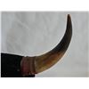 Image 6 : Lot: Bear Sculptures, Bull Horns Mount, Wooden Dish