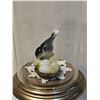 Image 3 : Bird Display Dome with Ceramic Chickadee and Golden Guide Book