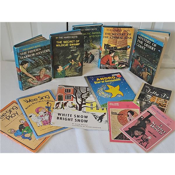Hardy Boys and Children's Books, 12 Pieces