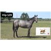 Image 1 : Filly Big Screen From Above