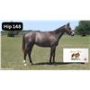Image 1 : Filly Big Screen Isabel's On It (GB)