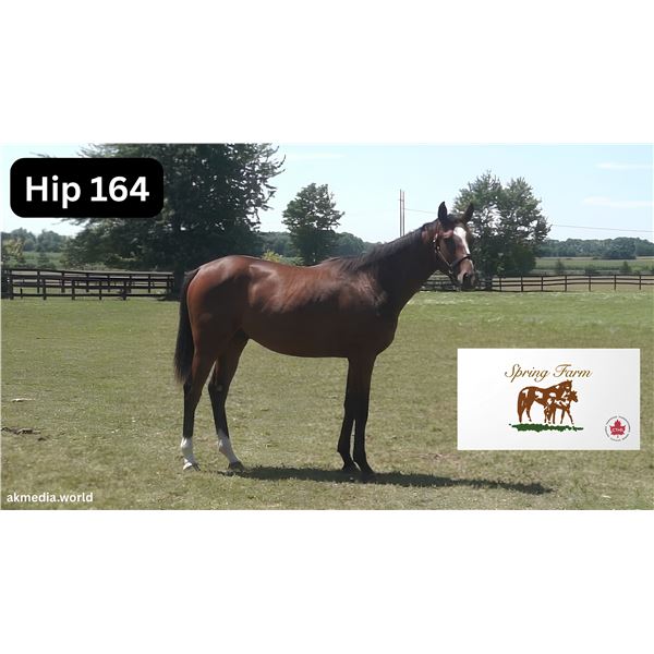 Filly Big Screen Make It Snappy