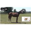 Image 1 : Filly Big Screen Make It Snappy