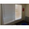 Image 13 : Converted 20' Shipping Container w/ Finished Interior, Electrical, Side Door & Window