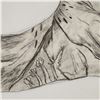 Image 3 : Framed Pastel & Graphite Drawing of Scissors w/ Botanical Designs