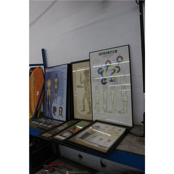 Asst. Framed Posters - 8