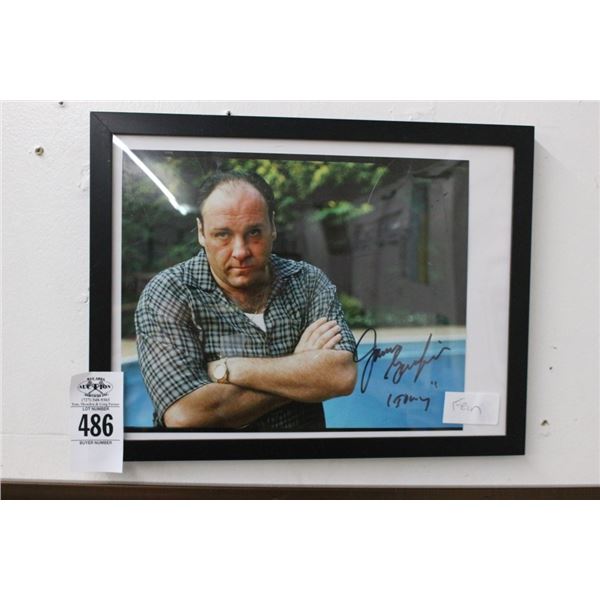 James Gandolfini Framed Photo
