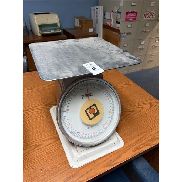 Palooze Large Portion Scale