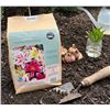 Image 1 : Lasc Lilium Oriental Hybrid Bulbs, 15 Pack