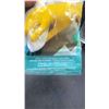 Image 4 : 6 Pairs Co-op Gold Latex Gloves Small