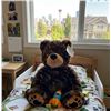 Image 1 : Stuffed Animal House Plush Brown Bear