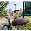 Image 1 : Selle Royal Drifter Plus Bike Saddle