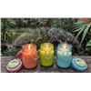 Image 1 : Sierra Citronella Candles in Jar Set of 3