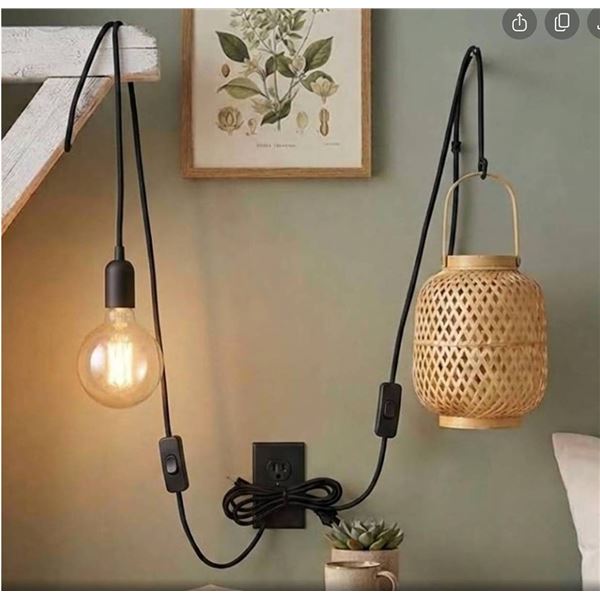 Cable Matters Hanging Lamp Cord 2-Pack 15ft Black