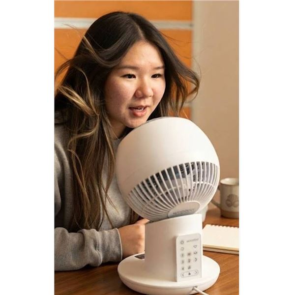 Woozoo Globe Fan
