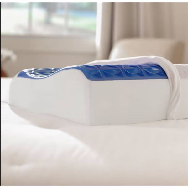 Sealy Cooling Gel Contour Memory Foam Pillow