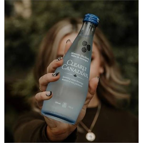 Clearly Canadian Mountain Blackberry 325ml x 12