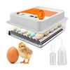 Image 2 : Egg Incubator for Goose, Quail, Parrot