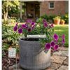 Image 1 : Rivet Rustic Textured Stoneware Planter