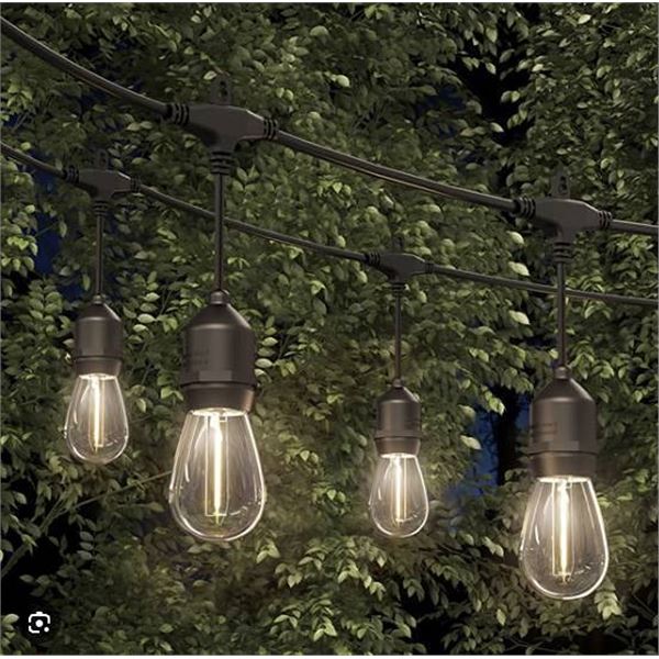 Feit LED String Lights 48 ft, 24 Bulbs