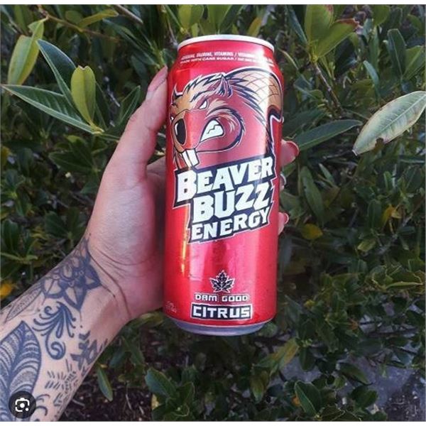Beaver Buzz Energy Citrus 12 x 473ml Cans