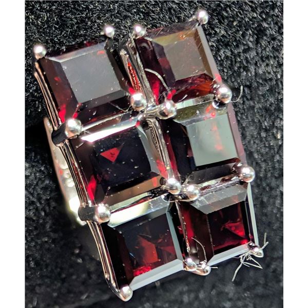 $400, silver(4.59g),  garnet (3ct) earring, retail value $400