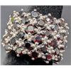 Image 3 : $700, silver(9g),  garnet (2.8ct) ring, retail value $700