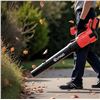 Image 1 : OUTIGO JBCF-001 Electric Blower