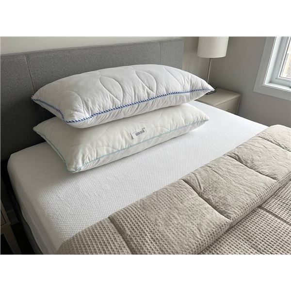 Two White Bed Pillows (one softer and one firmer)