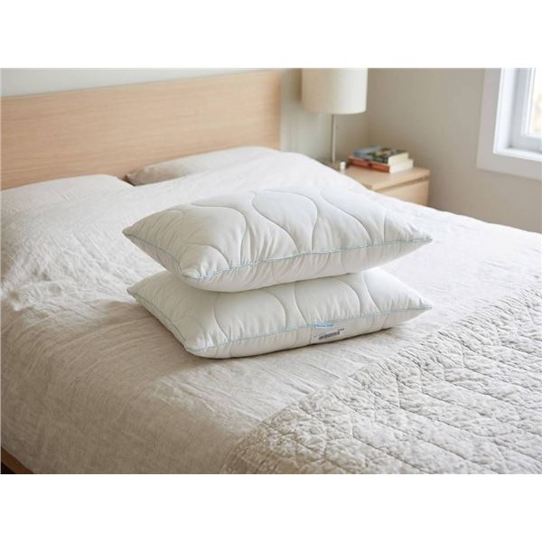 Below Zero Standard Size Pillows, Pair