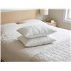 Image 1 : Below Zero Standard Size Pillows, Pair