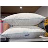 Image 2 : Below Zero Standard Size Pillows, Pair