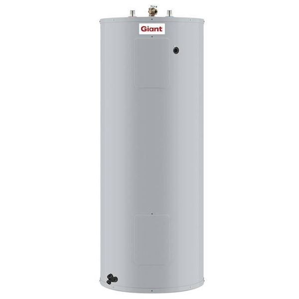 Giant 172STE-3F7M 80 US Gal Electric Water