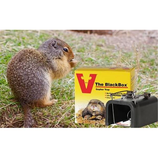 Victor Black Box Gopher Trap