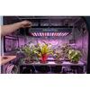 Image 1 : Likesuns LED Grow Light