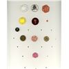 Image 3 : 4 CARDS OF ASSORTED PLANT & STYLISED PLANT LIFE BUTTONS
