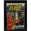 Image 1 : THE FLASH #194 - DC COMICS