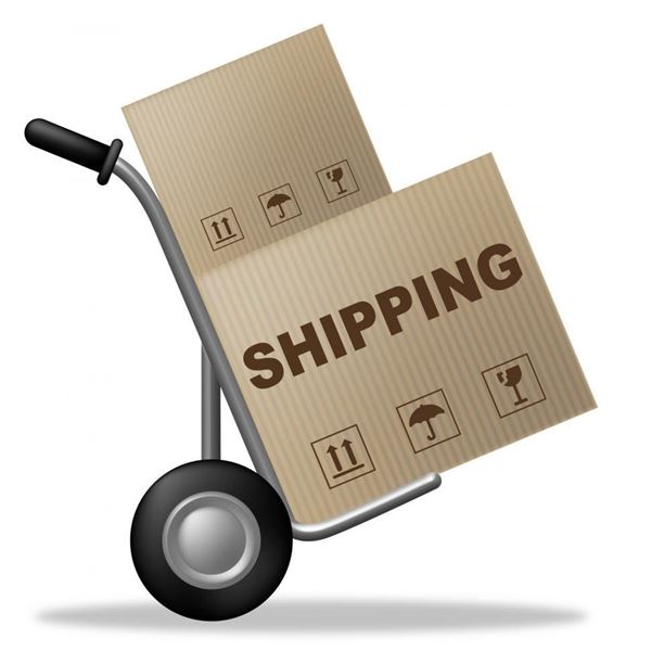 SHIPPING TERMS BELOW