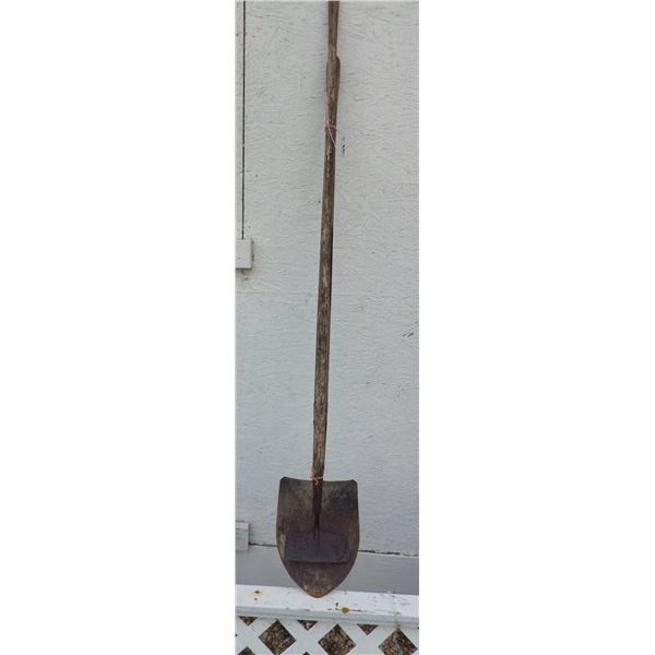 bundle of assorted garden tools