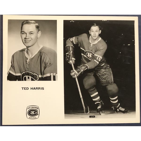 1966-67 MONTREAL CANADIENS PUBLICITY PHOTO - TED HARRIS