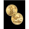 Uncirculated 1 oz. Gold Eagle