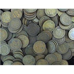 Lot of 250 Indian Head Pennies-Circulated