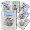 Lot of 10 MS 62 Morgan Silver Dollars-