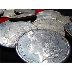 Lot of 12 Morgan Silver Dollars AU
