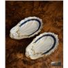 Image 1 : Porcelain Oyster Shell Dishes with Gilt and Blue Trim