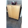 Image 1 : 3-TIER MOBILE WOODEN DOUBLE CABINET WITH 2 DRAWERS