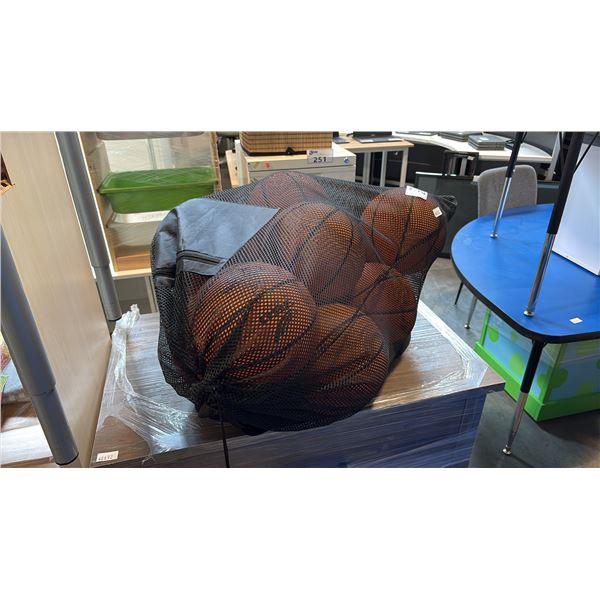 MESH STORAGE BAG WITH 10PCS SIZE 5 RUBBER BASKETBALLS