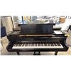 Image 2 : 1971 K.KAWAI MODEL KG-2, BLACK ACOUSTIC BABY GRAND PIANO, STANDARD 88-NOTE KEYBOARD, 3 MATCHING LEGS